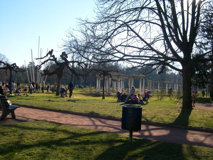  arbres dénudés, parents et enfants prenant le soleil sur l'herbe